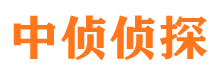 长武市私家侦探